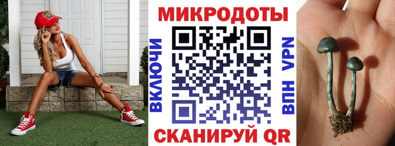 Псилоцибиновые грибы мицелий  Купить  Людиново 